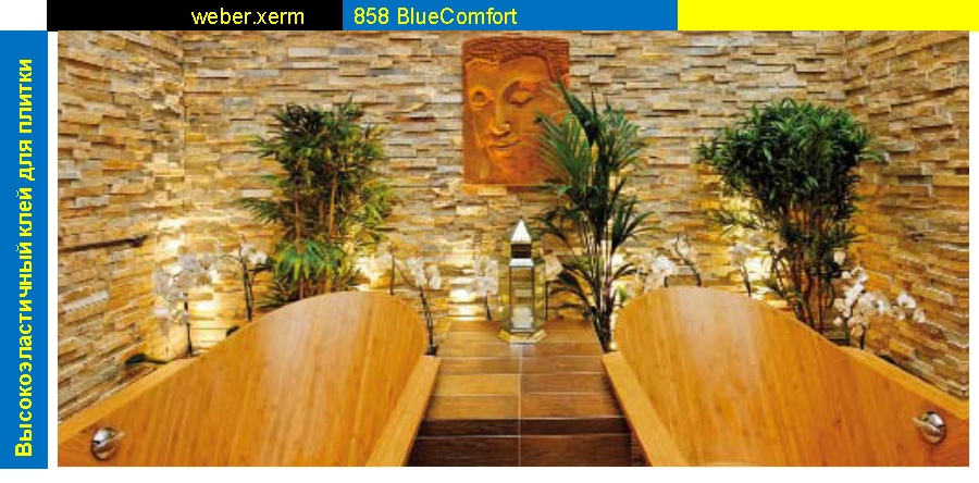 Blue_comfort858.jpg